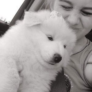 Meet your Posher, Tammie